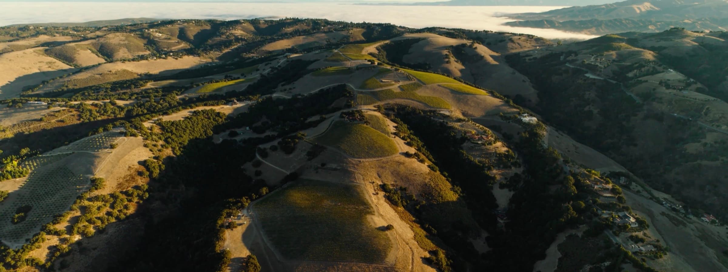 Rolling hills of the Diamond T Ranch estate