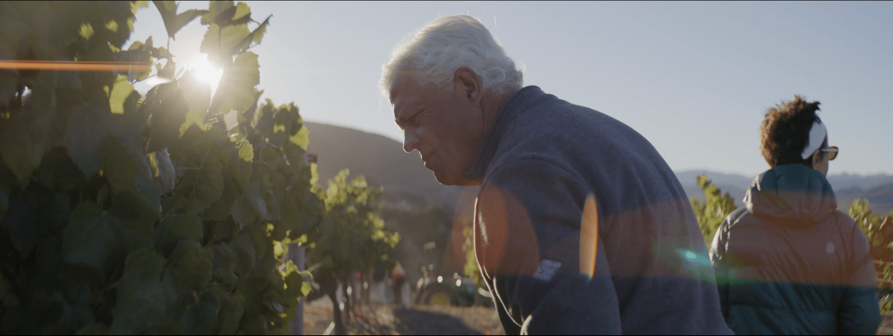 Diamond T Ranch - Andy Paul working among the vines at Diamond T Ranch